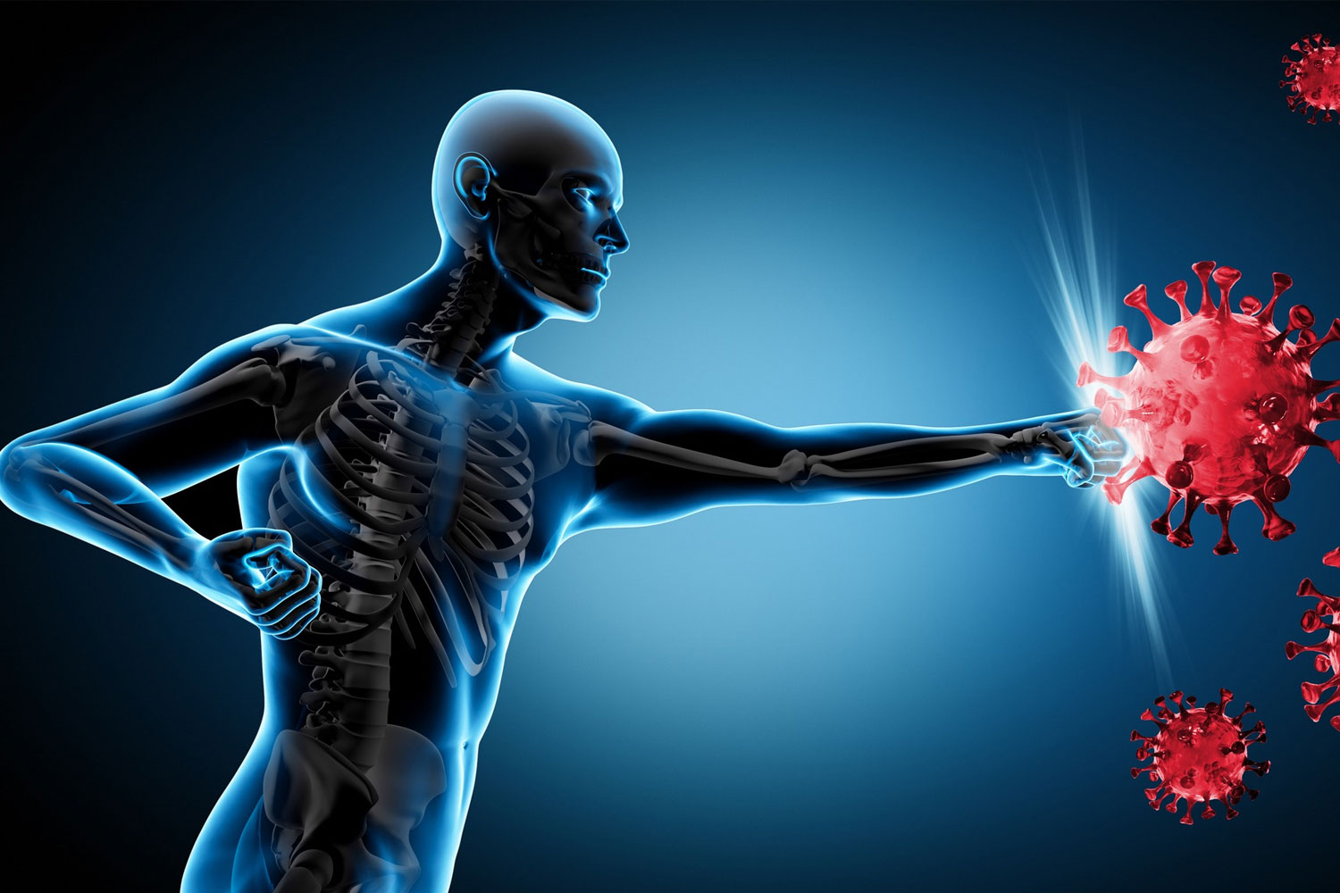 Lợi ích y học của yến sào