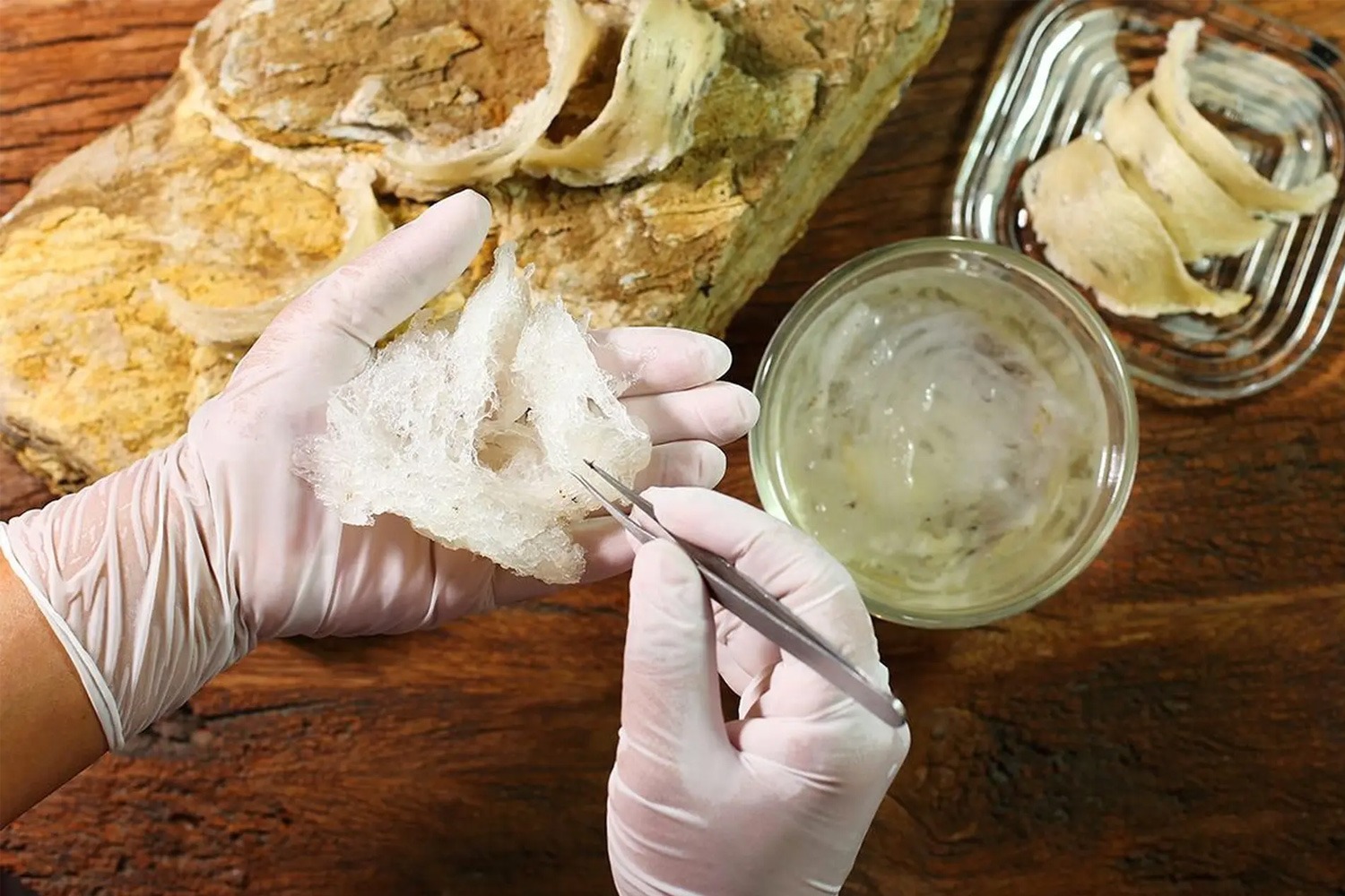 Uống yến hủ có tốt không